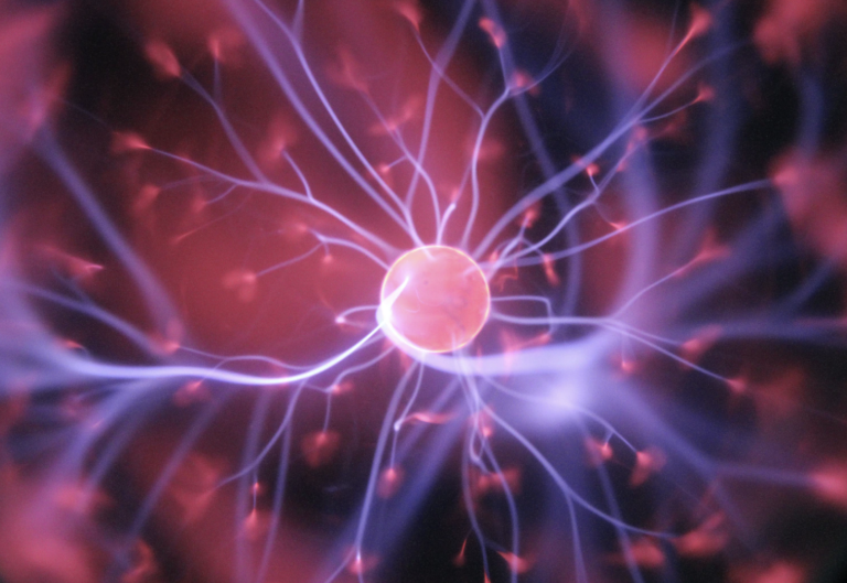 Elementary Science 1